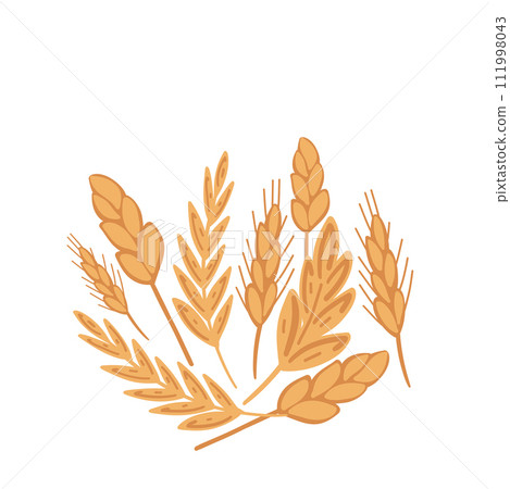 Wheat spikelets flat design set on white background 111998043