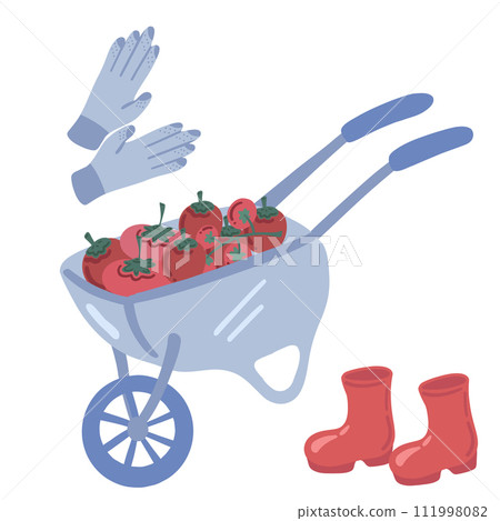 Garden cart wellies and gloves tomato fat design on white background 111998082