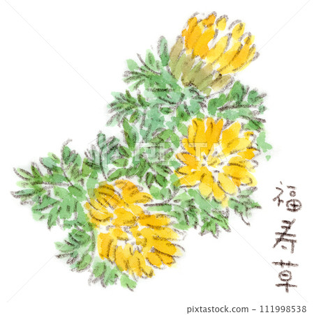 Watercolor illustration of flowers of Fukujusou (Fukujusou), a winter to early spring plant 111998538