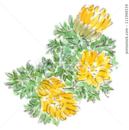 Fukujusou (Fukujusou) 的花朵的水彩插圖,一種冬季到早春的植物 Fukujusou (Fukujusou) 的花朵的水彩插圖,一種冬季到早春的植物 111998539