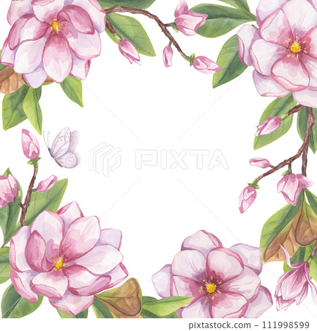 Pink magnolia frame, place for text. Branch flower, buds, leaves, white butterfly. Blooming floral clipart. Hand drawn watercolor illustration isolated background. Botanical element for wedding Pink magnolia frame, place for text. Branch flower, buds, leaves, white butterfly. Blooming floral clipart. Hand drawn watercolor illustration isolated background. Botanical element for wedding 111998599