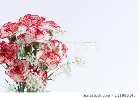 紅色和白色康乃馨母親節花束白色背景 111999143