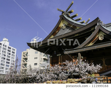 Yushima Tenjin, the scenery that shines with white plum blossoms in full bloom Yushima Tenjin, the scenery that shines with white plum blossoms in full bloom 111999168