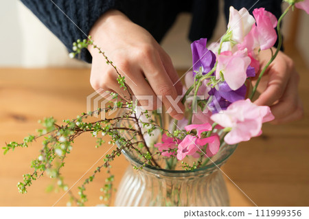 女人的手插花 女人的手插花 111999356