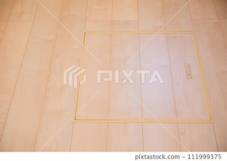 Underfloor storage with lid closed Underfloor storage with lid closed 111999375