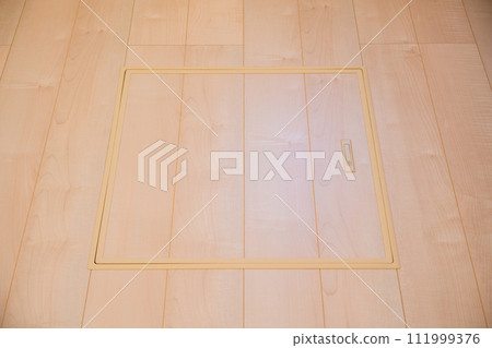Underfloor storage with lid closed Underfloor storage with lid closed 111999376