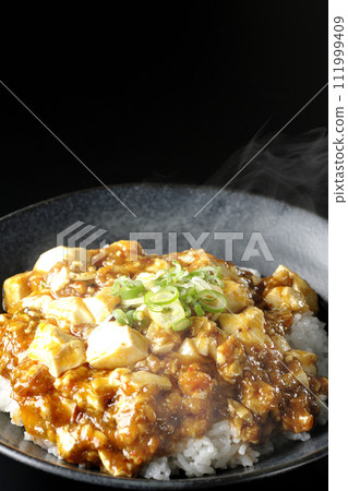 A photo of piping hot mapo bowl topped with plenty of tofu and green onion against a black background A photo of piping hot mapo bowl topped with plenty of tofu and green onion against a black background 111999409