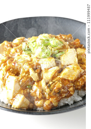 A photo of piping hot mapo bowl topped with plenty of tofu and green onion against a white background 111999487