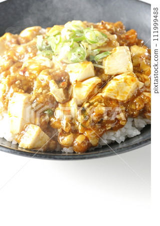 A photo of piping hot mapo bowl topped with plenty of tofu and green onion against a white background A photo of piping hot mapo bowl topped with plenty of tofu and green onion against a white background 111999488