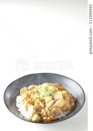 A photo of piping hot mapo bowl topped with plenty of tofu and green onion against a white background 111999493
