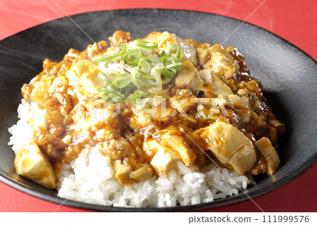 Piping hot mapo bowl topped with plenty of tofu and green onion Piping hot mapo bowl topped with plenty of tofu and green onion 111999576