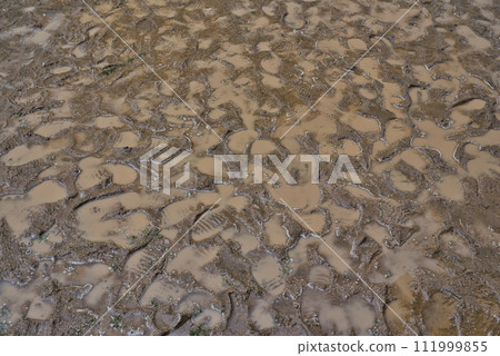 地面因下雨而變得泥濘 地面因下雨而變得泥濘 111999855