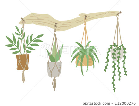 浮木和四種懸掛植物的插圖 112000276