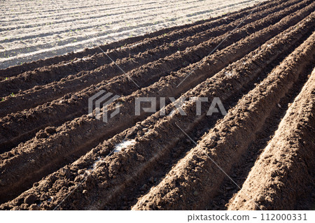 Plowed field prepared for planting Plowed field prepared for planting 112000331
