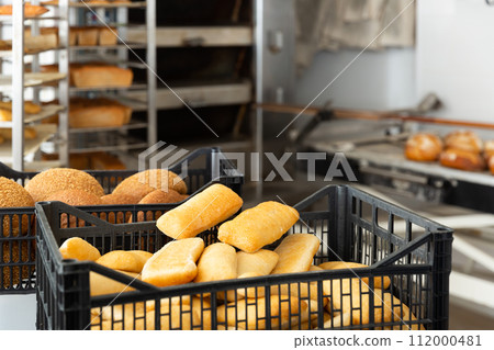 Fresh hot ciabatta in crate in bakery 112000481
