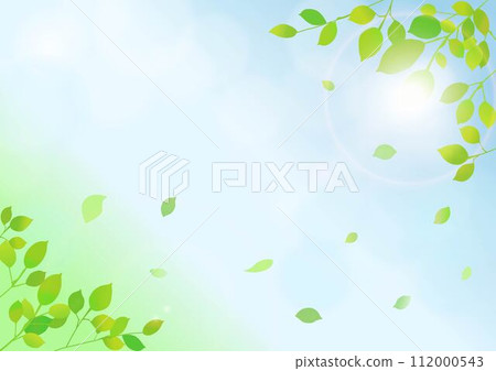 Refreshing fresh green background material 112000543