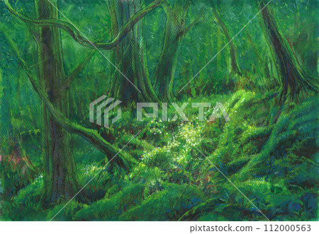 森林之光 森林之光 112000563