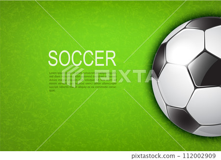 soccer ball on field 112002909