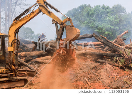 Construction of residential complex is being prepared by excavators tractors uprooting trees 112003196