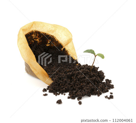 Coffee grounds 112004061