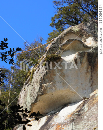 世界遺產花奧津神社 世界遺產花奧津神社 112004124