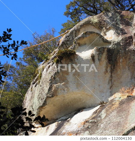 世界遺產花奧津神社 世界遺產花奧津神社 112004130