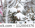 白雪皚皚的森林樹木 112004376