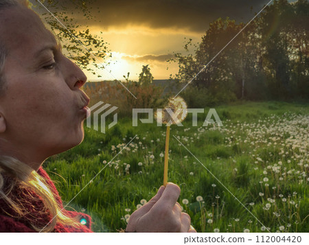 Dandelion Dreams at Dusk 112004420