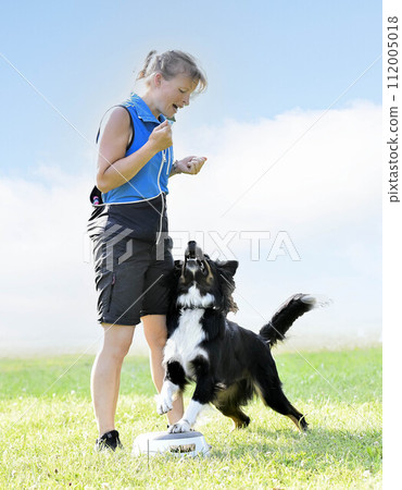 obedience training with a border collie 112005018