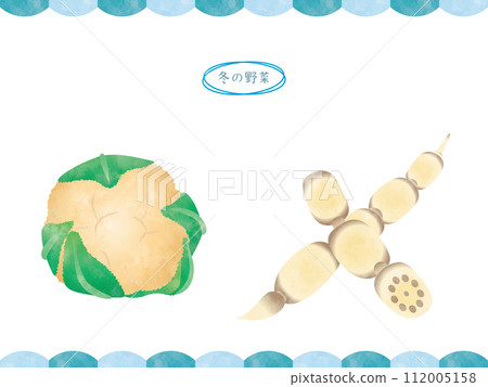 Handwritten winter vegetables - cauliflower, lotus root 112005158