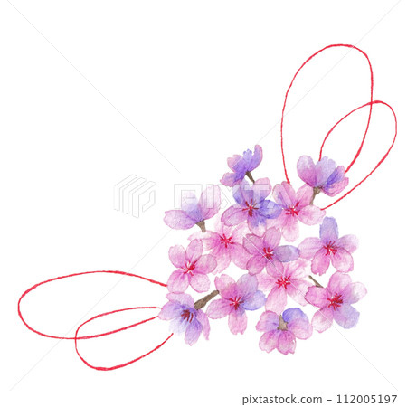 Illustration of cherry blossom kusudama painted in watercolor 112005197