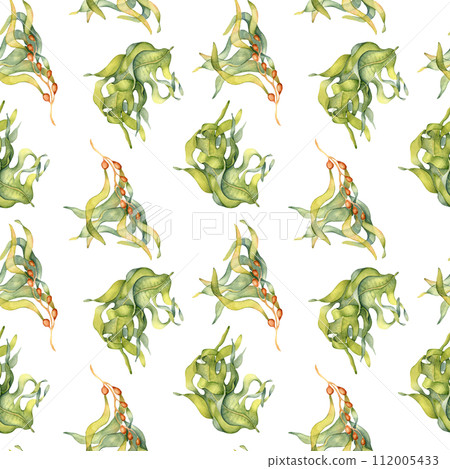 Watercolor seamless pattern of colorful laminaria illustration isolated on white. Kelp, seaweeds hand drawn. Painted algae. Design for background, textile, packaging, wrapping, marine collection Watercolor seamless pattern of colorful laminaria illustration isolated on white. Kelp, seaweeds hand drawn. Painted algae. Design for background, textile, packaging, wrapping, marine collection 112005433