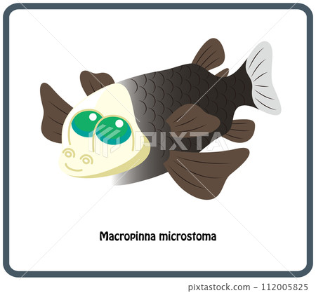 Unique deep sea fish Demenigis illustration vector Opisthoproctidae 112005825