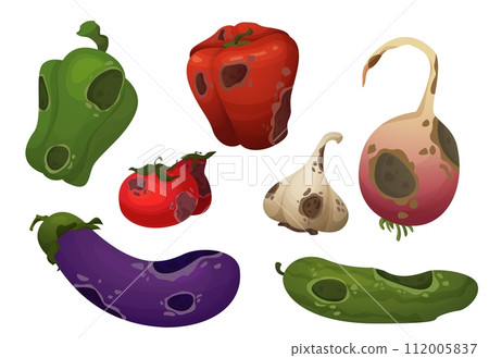 Rotten danger vegetables with rot and mold. Rotten danger vegetables with rot and mold. 112005837