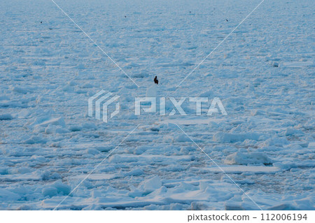 漂流冰1 112006194