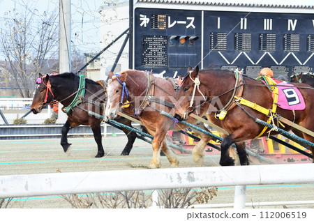 Banei keiba Horse Racing is the only race of its kind in the world. Large draft horses, weighing about 1 ton, race on a separate course in a 200 m straight line while pulling an iron sled that weighs Banei keiba Horse Racing is the only race of its kind in the world. Large draft horses, weighing about 1 ton, race on a separate course in a 200 m straight line while pulling an iron sled that weighs 112006519