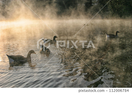 Morning at Lake Kinrinko in Yufuin 112006784