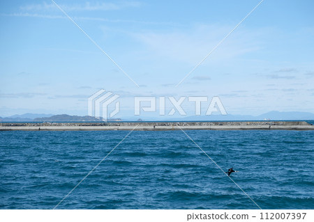 Horie Port 2024 Part 1 Horie Port 2024 Part 1 112007397