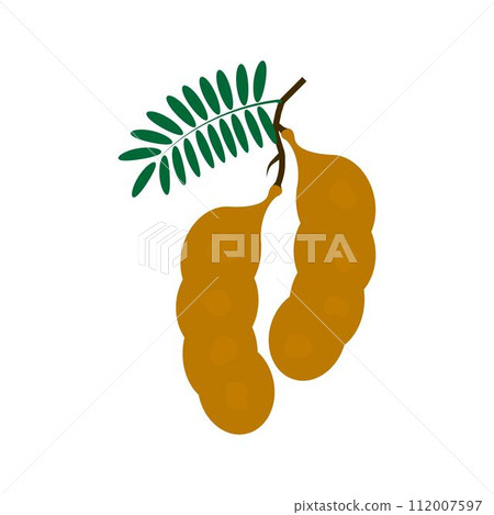 tamarind logo icon vektor template 112007597