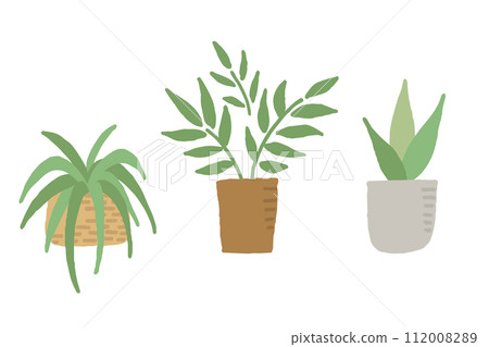 三種室內植物的插圖 112008289