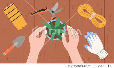 Planting flowers. Home gardening and horticulture. Top view vector illustration 112009017