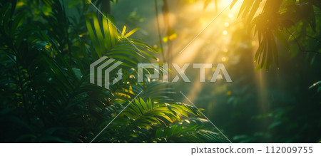 Sunbeams piercing through vibrant green leaves in a peaceful forest, creating a serene and fresh atmosphere. Sunbeams piercing through vibrant green leaves in a peaceful forest, creating a serene and fresh atmosphere. 112009755