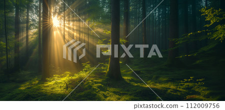 Sunbeams piercing through vibrant green leaves in a peaceful forest, creating a serene and fresh atmosphere. Sunbeams piercing through vibrant green leaves in a peaceful forest, creating a serene and fresh atmosphere. 112009756