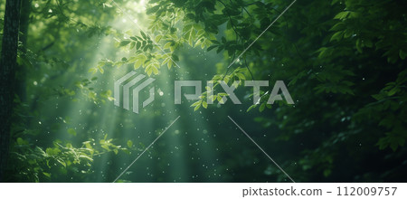 Sunbeams piercing through vibrant green leaves in a peaceful forest, creating a serene and fresh atmosphere. Sunbeams piercing through vibrant green leaves in a peaceful forest, creating a serene and fresh atmosphere. 112009757