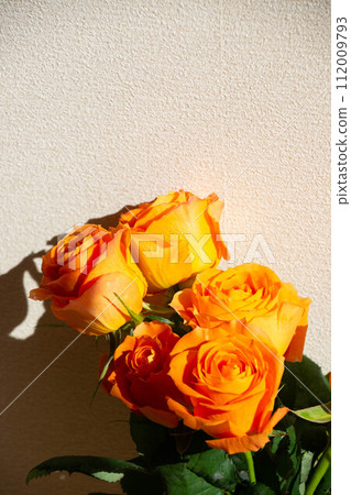 橙色的玫瑰 112009793