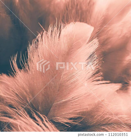 Trendy color - Peach Fuzz. Abstract floral pattern swatch colors collage. 112010351