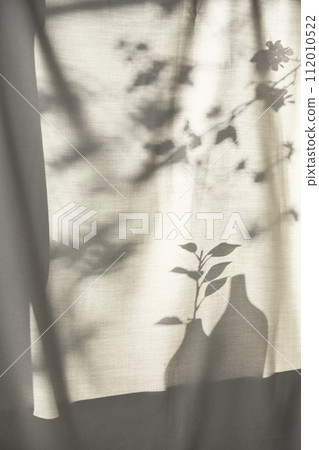 Background with shadows shining through a window with sunlight streaming in. 112010522