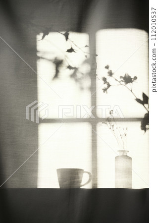 Background with shadows shining through a window with sunlight streaming in. 112010537