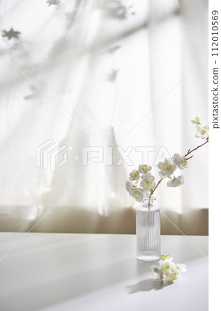 Background with shadows shining through a window with sunlight streaming in. Background with shadows shining through a window with sunlight streaming in. 112010569