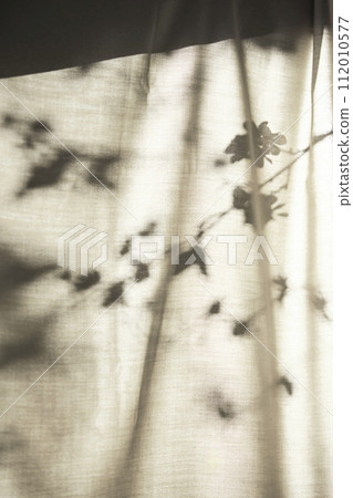 Background with shadows shining through a window with sunlight streaming in. 112010577